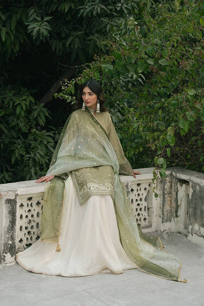 MNR | Ashiyana Festive Eid Collection 25 | Sabaat by Maria Faisal - Registered Vendor of : MNR - type : Ladies Clothes - 100% original wedding dresses