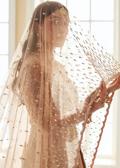 Elan | Wedding Festive 23 | Elan - Ariana