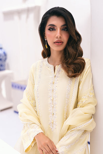 Ansab Jahangir | Luxe Pret Signature | BANEEN - Pakistani Dress - Maria Faisal