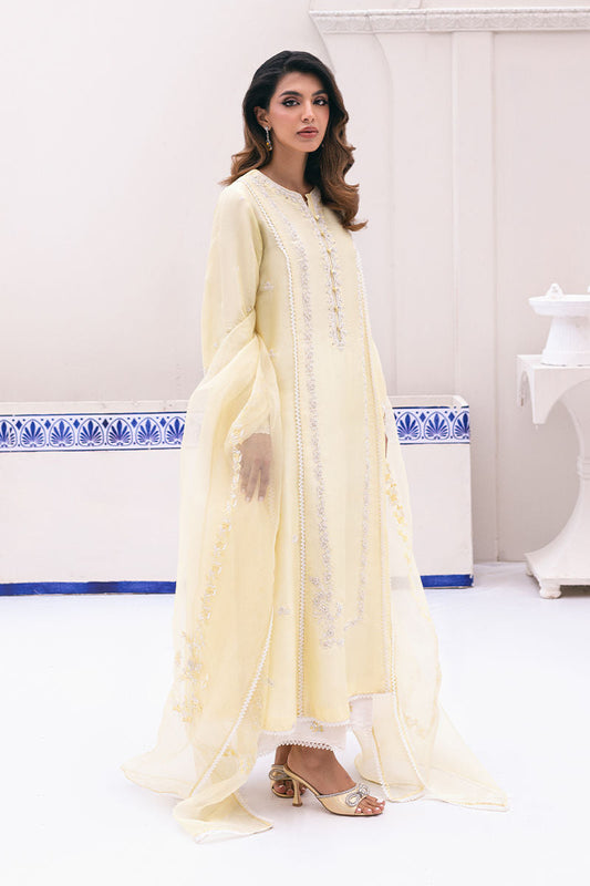 Ansab Jahangir | Luxe Pret Signature | BANEEN - Pakistani Dress - Maria Faisal