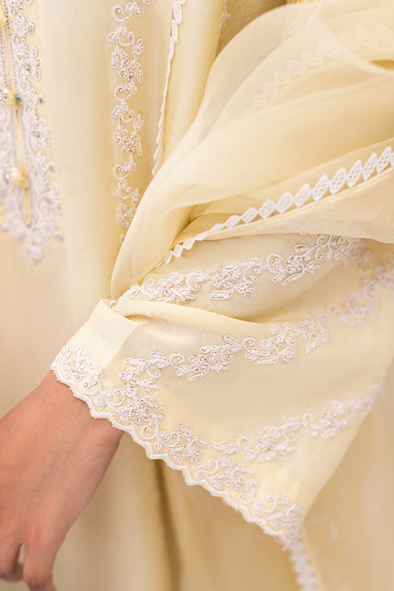 Ansab Jahangir | Luxe Pret Signature | BANEEN - Pakistani Dress - Maria Faisal