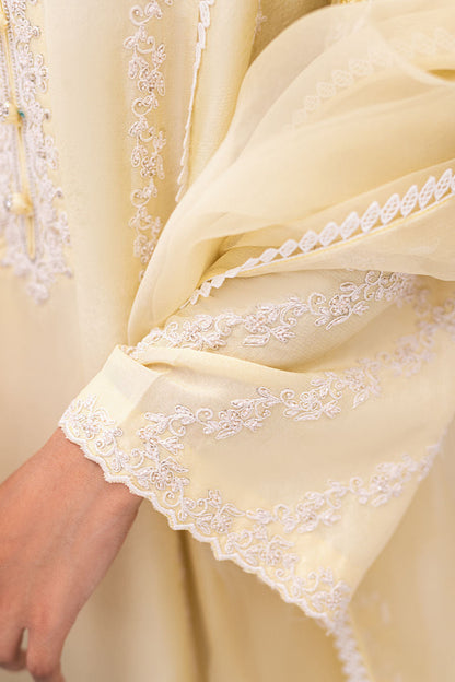 Ansab Jahangir | Luxe Pret Signature | BANEEN - Pakistani Dress - Maria Faisal