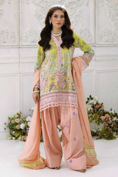 Ansab Jahangir | Wien Family Edit 25 | Selene by Maria Faisal - Registered Vendor of : Ansab Jahangir - type : Ladies Clothes - 100% original wedding dresses