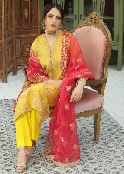 Daud Abbas | Formals Collection | DIORA - Waniyas