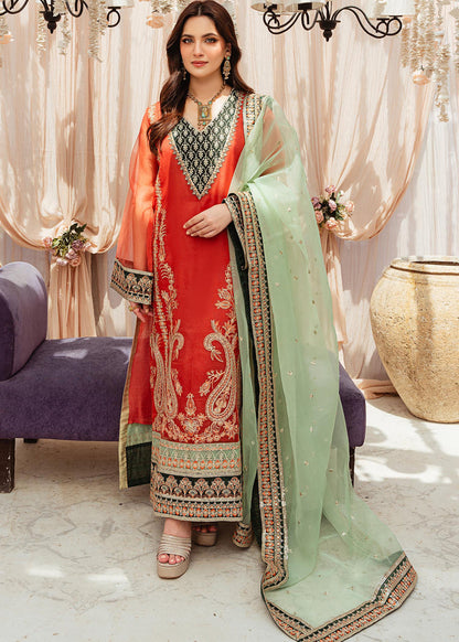 Daud Abbas | Formals Collection | Geet - Waniyas