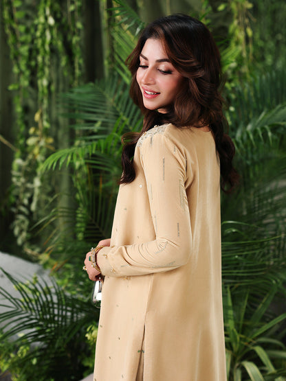 Ain | Twilight The Velvet Edit | AN-185 - Luxury Dress - available at Maria Faisal in UK and USA.