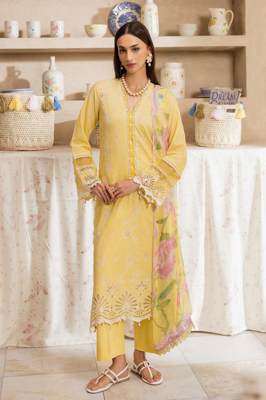 Rajbari | Nissa Chikankari Exclusive | Exclusive 03 - Luxury Dress - available at Maria Faisal in UK and USA.