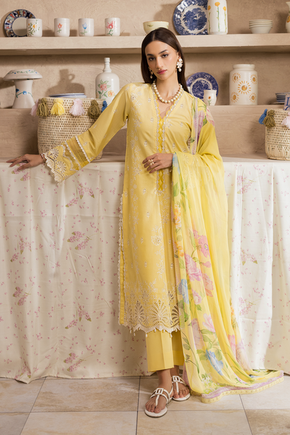 Rajbari | Nissa Chikankari Exclusive | Exclusive 03 - Luxury Dress - available at Maria Faisal in UK and USA.