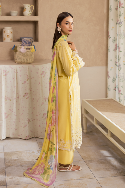 Rajbari | Nissa Chikankari Exclusive | Exclusive 03 - Luxury Dress - available at Maria Faisal in UK and USA.