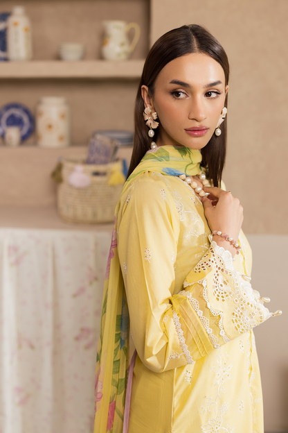 Rajbari | Nissa Chikankari Exclusive | Exclusive 03 - Luxury Dress - available at Maria Faisal in UK and USA.