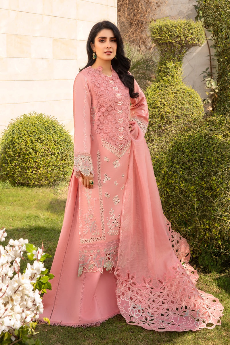 Rangrasiya | Premium Collection 24 | PARISA - Waniyas