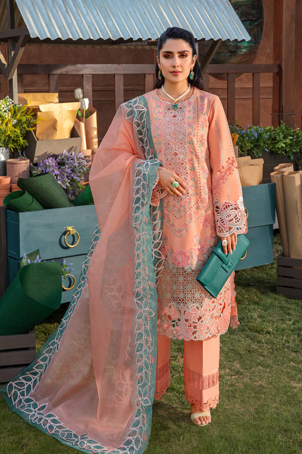 Rangrasiya | Premium Collection 24 | RANIA - Waniyas