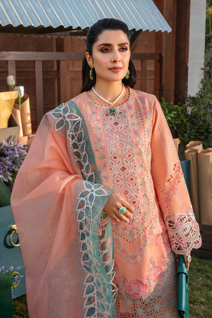 Rangrasiya | Premium Collection 24 | RANIA - Waniyas