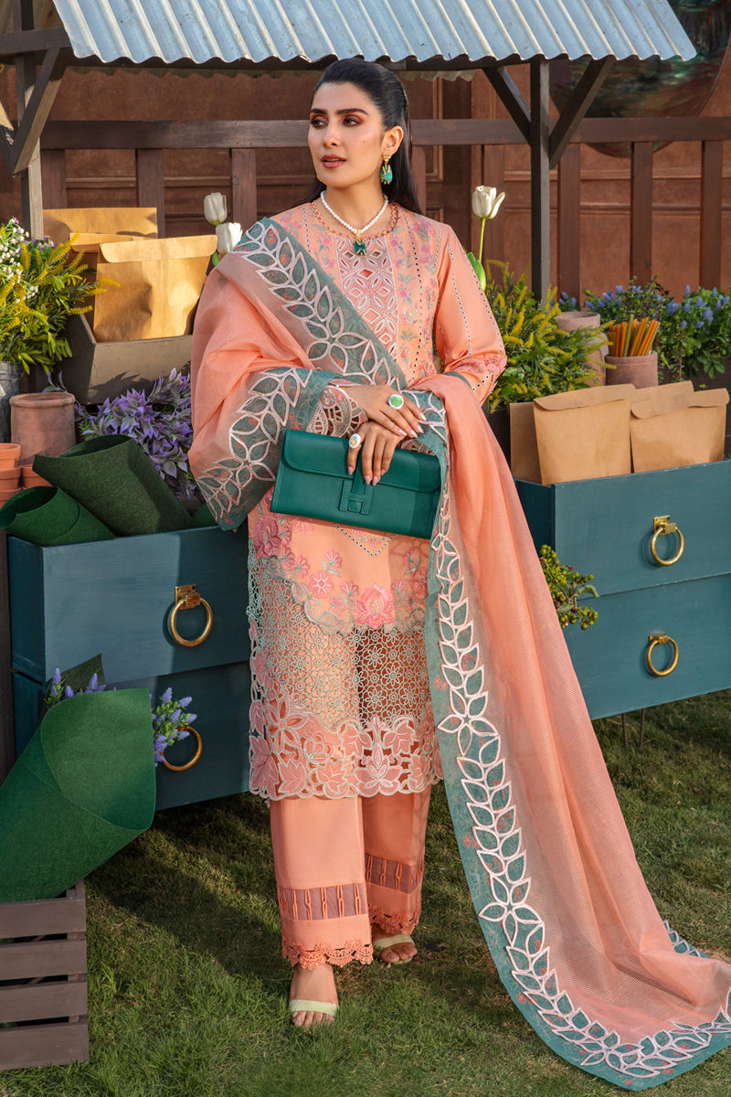 Rangrasiya | Premium Collection 24 | RANIA - Waniyas