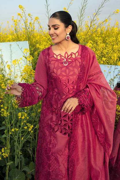 Rangrasiya | Premium Collection 24 | MAYA - Waniyas