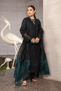Rangrasiya | Premium Collection 24 | ZOYA - Waniyas