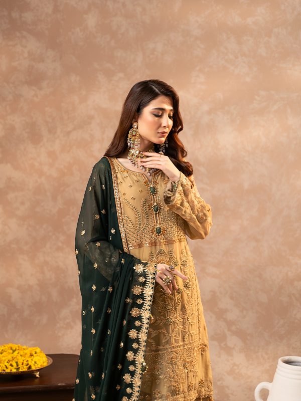 Zebtan | Zeenat Festive Collection | ZN-06 - Maria Faisal