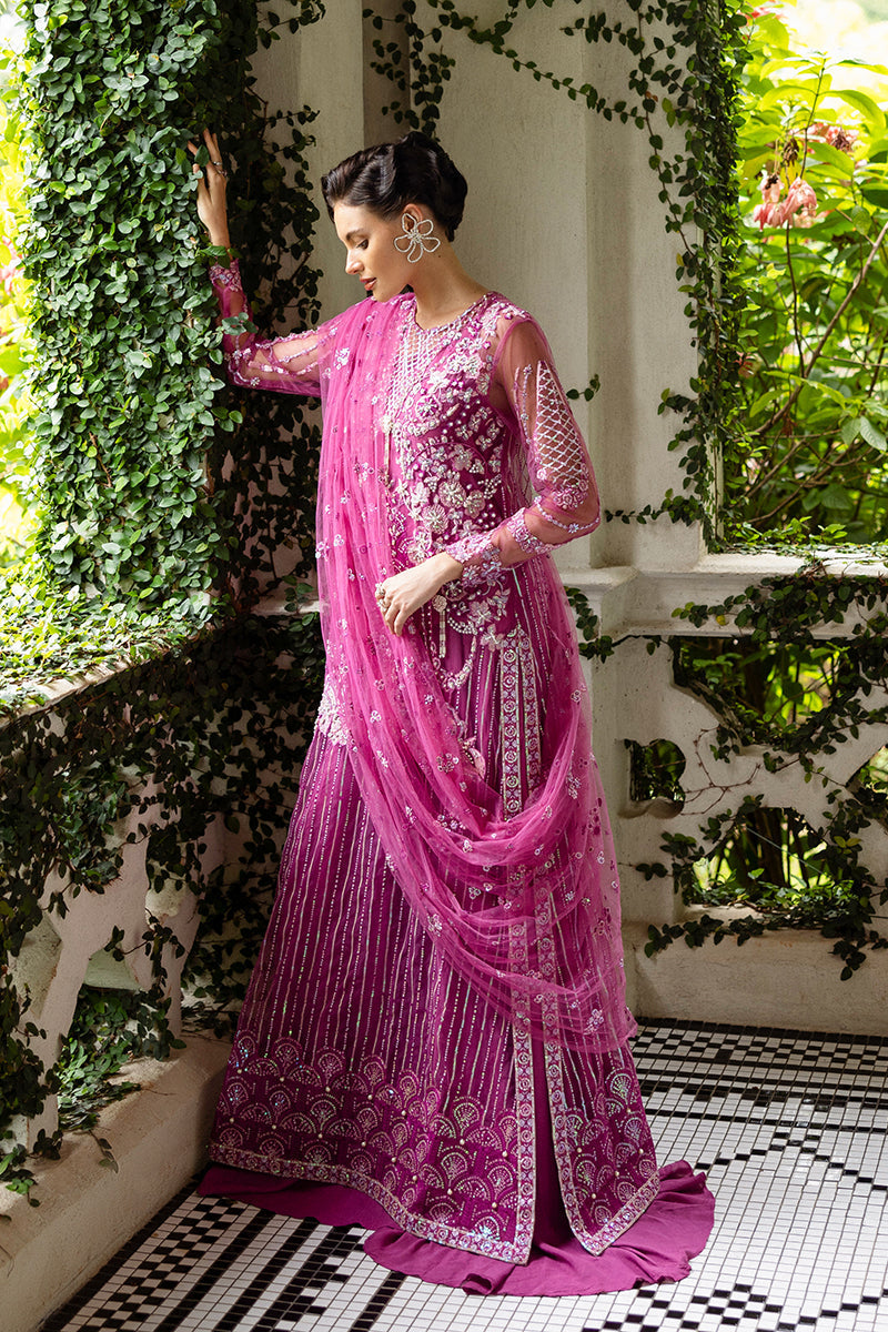 Mushq | Inception Hemline Wedding 25 | Sweet November - Ladies Clothes - Maria Faisal