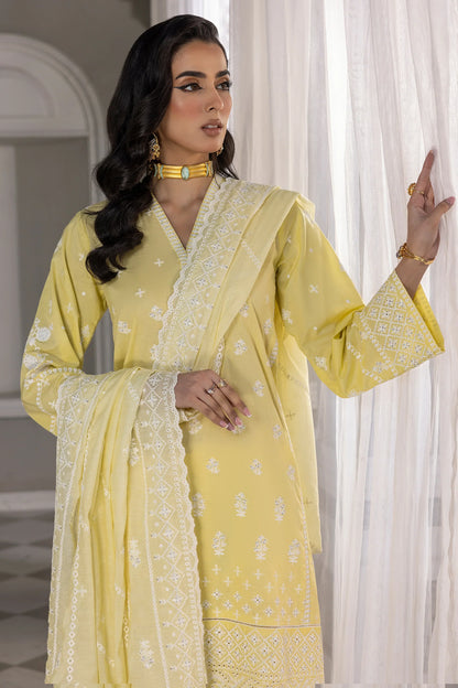 LSM | Embroidered Collection | 06 - Ladies Clothes 