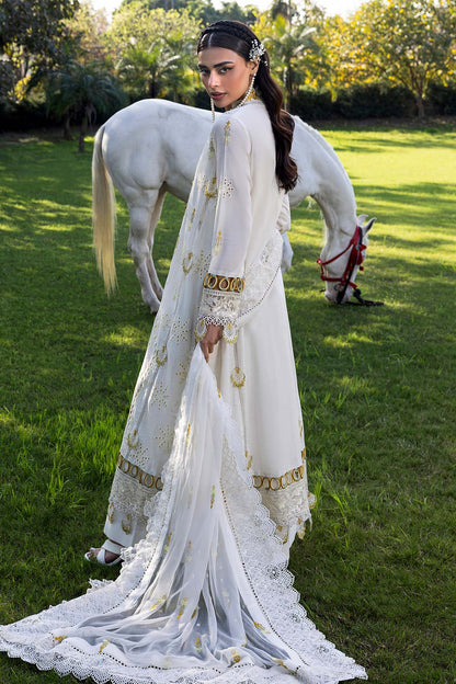 Raeesa Premium | Senorita Formals | SR-002 - Ladies Clothes - Maria Faisal