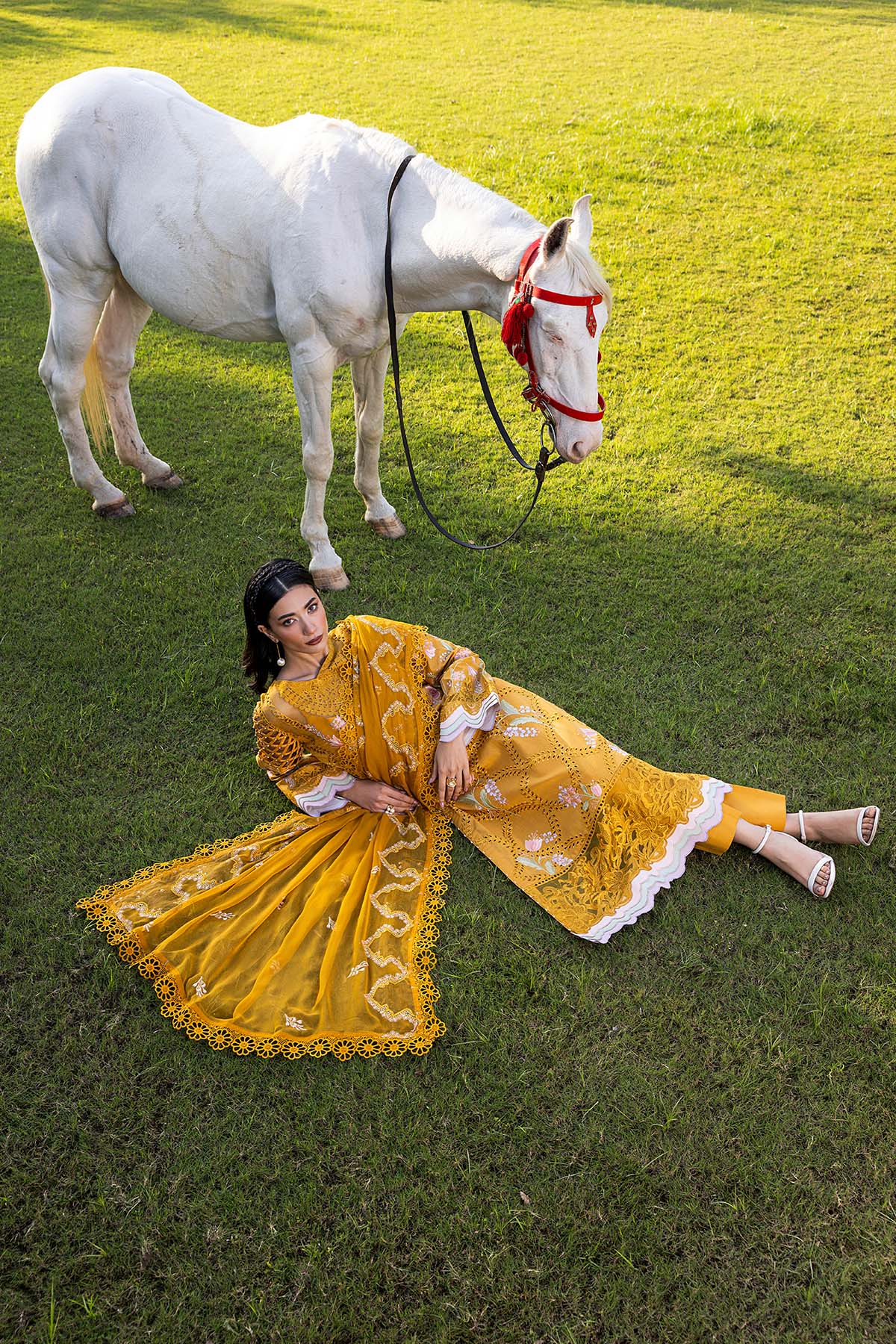 Raeesa Premium | Senorita Formals | SR-001 - Ladies Clothes - Maria Faisal