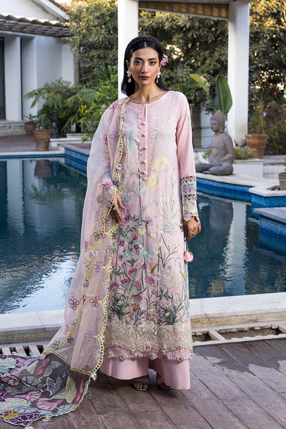 Raeesa Premium | Senorita Formals | SR-006 - Ladies Clothes - Maria Faisal