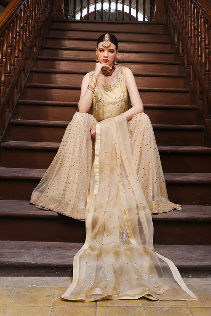 Mona Imran | Dilzaib Formals | Seerat - Ladies Clothes - Maria Faisal