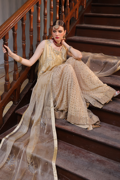 Mona Imran | Dilzaib Formals | Seerat - Ladies Clothes - Maria Faisal