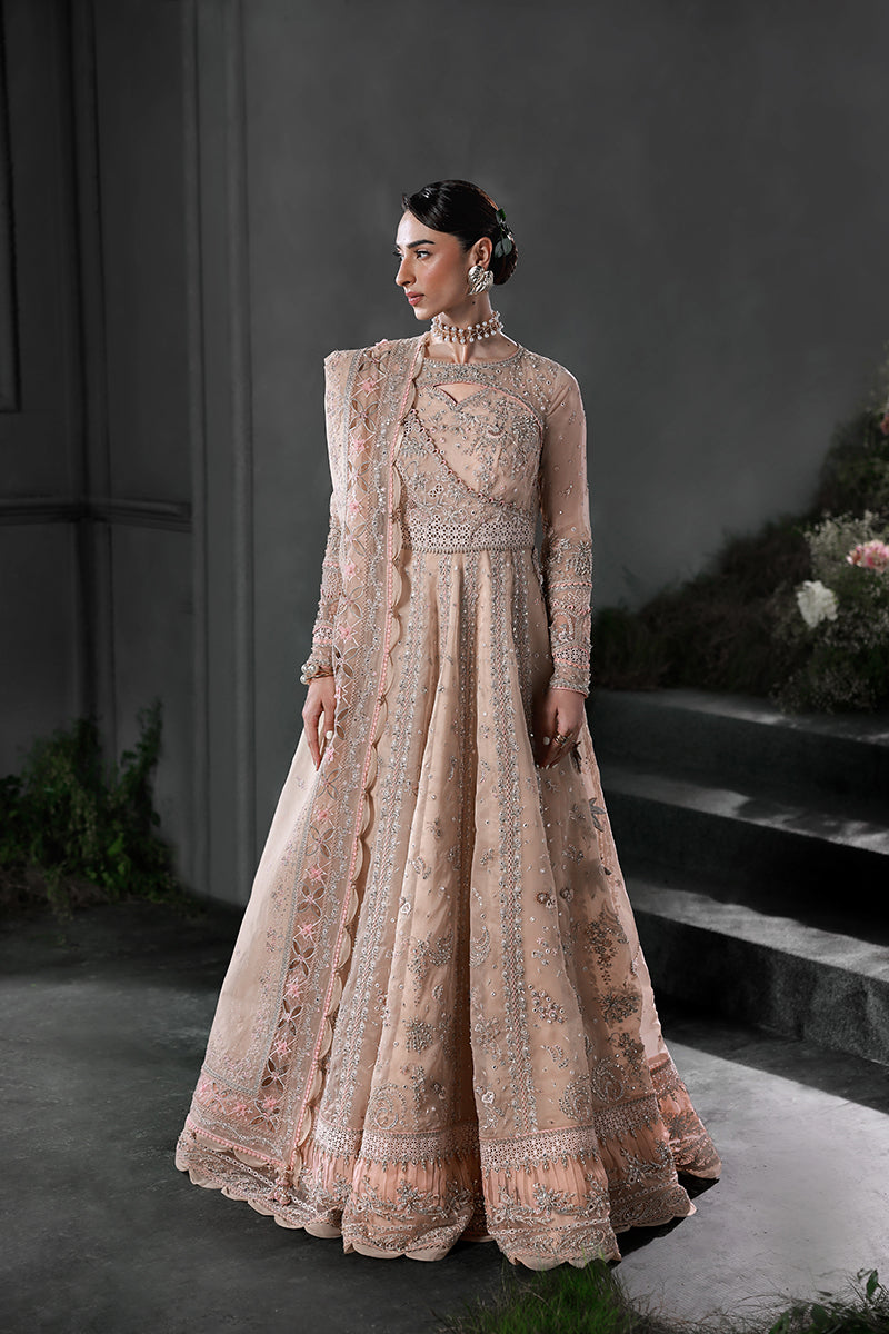 Qalamkar | Elirah Formals 25 | MF-01 LUSTRA - Ladies Clothes - Maria Faisal