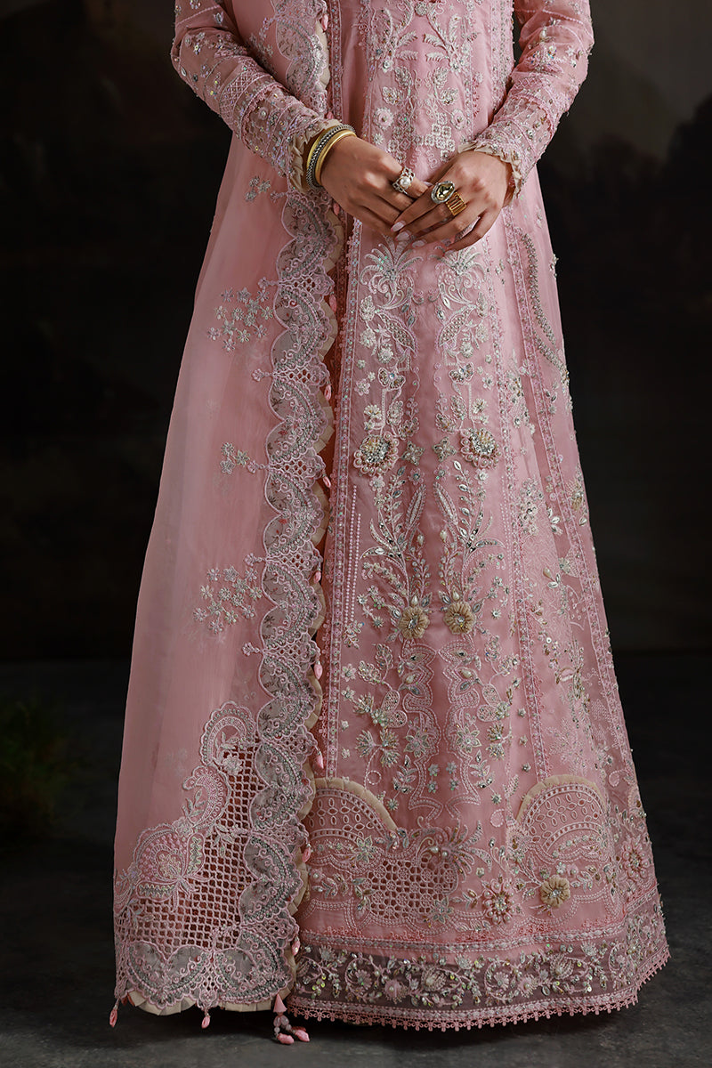 Qalamkar | Elirah Formals 25 | MF-03 BLUSH REVERIE - Ladies Clothes - Maria Faisal