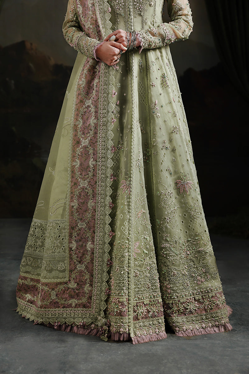 Qalamkar | Elirah Formals 25 | MF-02 SAGE AURA - Ladies Clothes - Maria Faisal