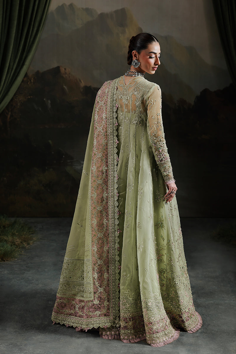 Qalamkar | Elirah Formals 25 | MF-02 SAGE AURA - Ladies Clothes - Maria Faisal