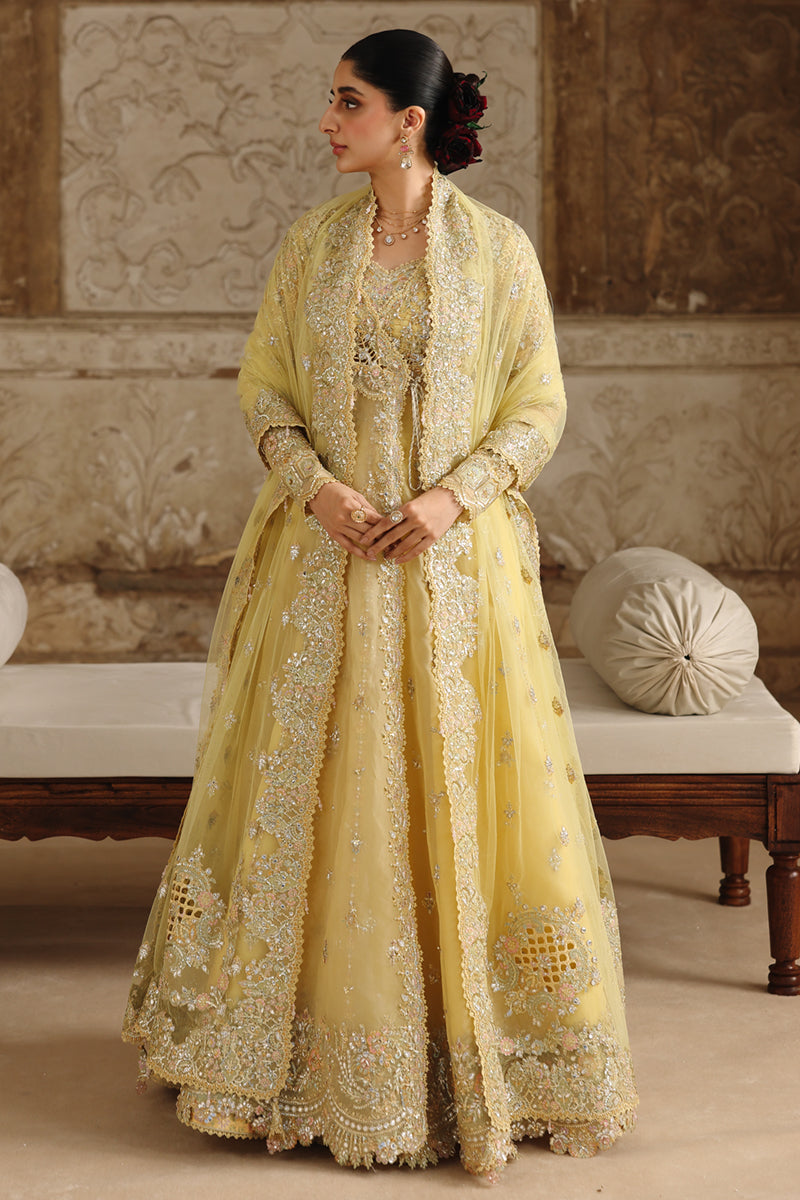 Qalamkar | Shadmaani Formals 25 | RH-06 HOOR - Wedding Dress - available at Maria Faisal in UK and USA.
