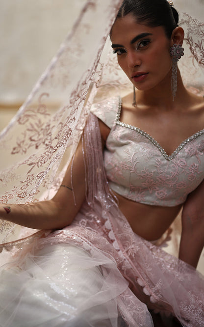 Threads and Motifs | Formal Dresses 25 | Net Embroidered Blouse And Saree