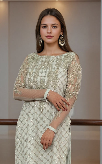 Threads and Motifs | Formal Dresses 25 | Net Embroidered Shirt With Trouser
