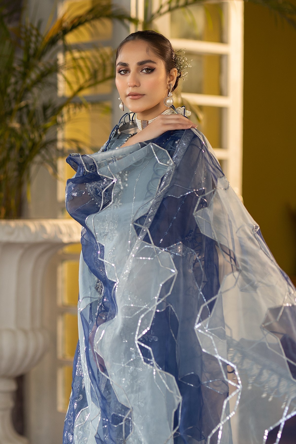 Raeesa Premium | Dehleez Formals | DL-1028 Khayali - Ladies Clothes - Maria Faisal