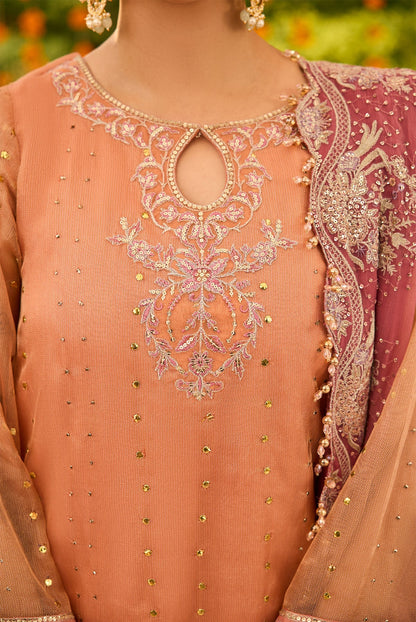 Alizeh | Shehnai The Festive Edit | AF-ZN-2218-Sitara - Formal Dress - available at Maria Faisal in UK and USA.