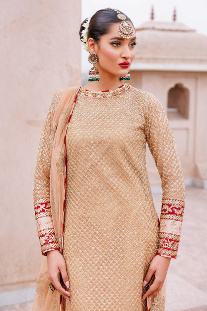Mina Kashif | Shahbano Luxury Pret 24 | Haya - Designer Dress with Intricate embroidery and embellishments. Shop elegent wedding dress at Maria Faisal.