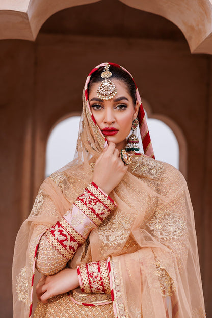 Mina Kashif | Shahbano Luxury Pret 24 | Haya - Designer Dress with Intricate embroidery and embellishments. Shop elegent wedding dress at Maria Faisal.