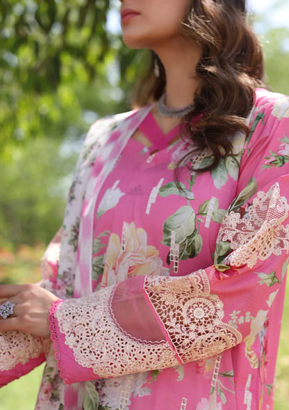 Elaf Premium | Prints Chikankari 24 | 03B PINK MUSE - Waniyas