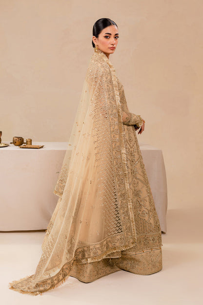 Farasha | Lumiere Formals | DREAMT FLAIR - Designer Dress with Intricate embroidery and embellishments. Shop elegent wedding dress at Maria Faisal.