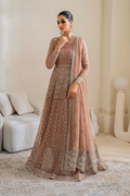 Iznik | Chinnon Chiffon | CC-43 Embroidered Net - Ladies Clothes - Maria Faisal