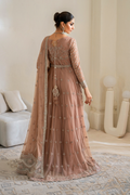 Iznik | Chinnon Chiffon | CC-43 Embroidered Net - Ladies Clothes - Maria Faisal
