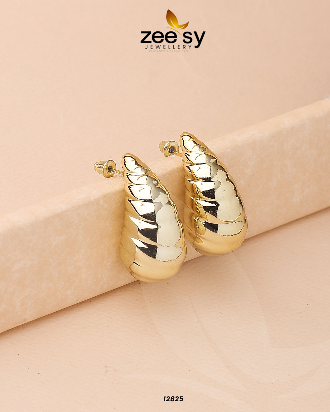 Hyperbola Drop Earrings - Earrings 