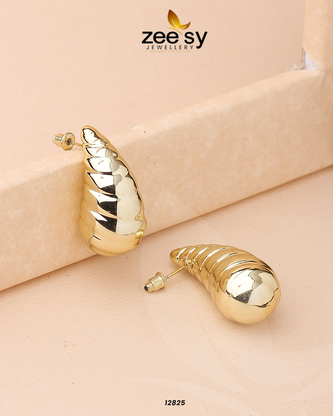 Hyperbola Drop Earrings - Earrings 