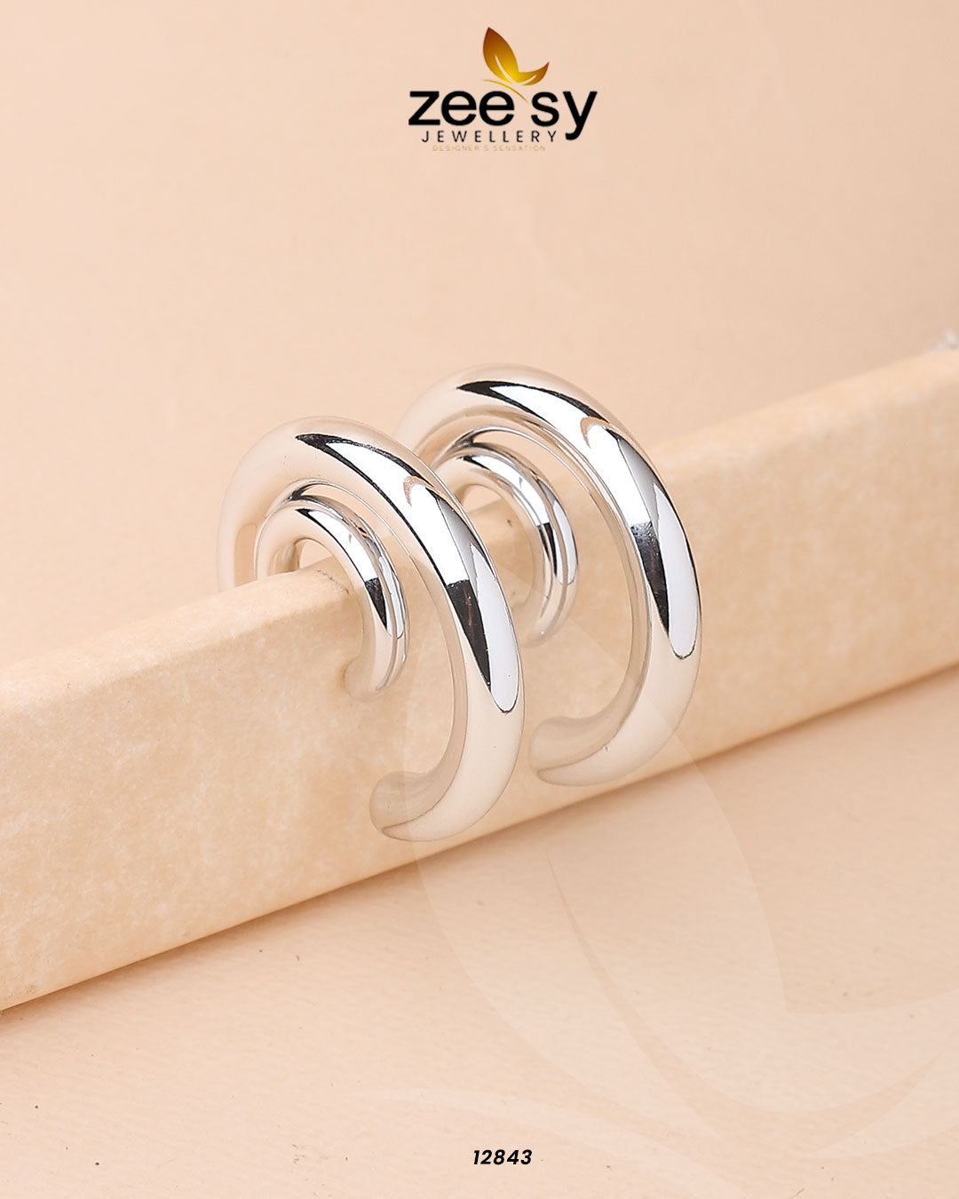 Arc Earrings - Earrings 