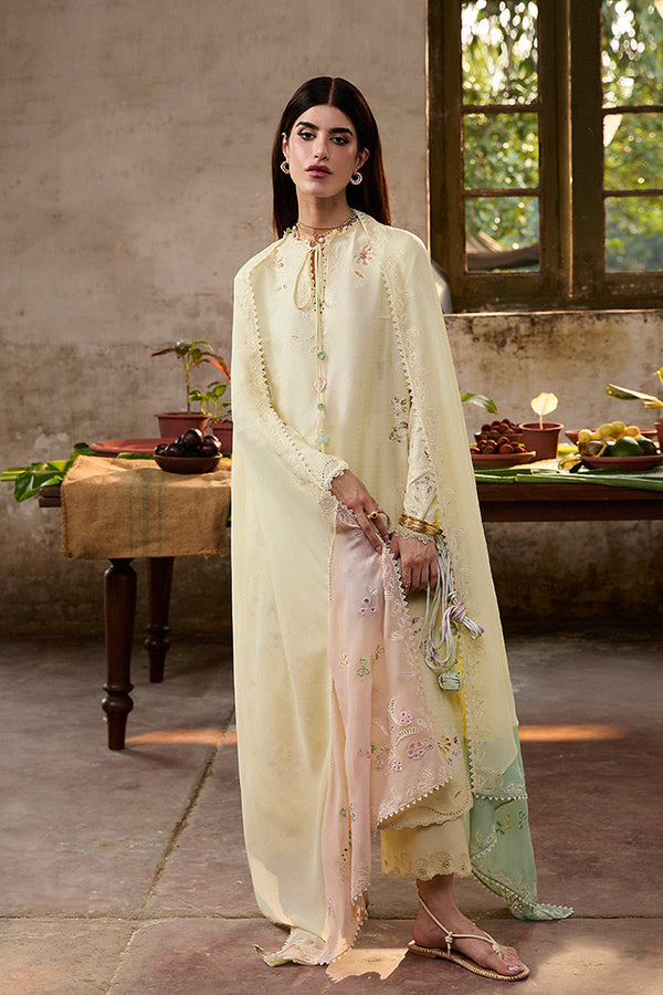 Suffuse | Basic Summer 25 | AMAAH - Ladies Clothes - Maria Faisal