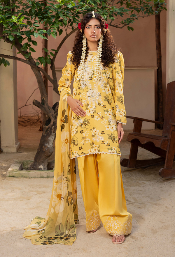 Humdum | Zaiba 25 | D03 - Ladies Clothes - Maria Faisal
