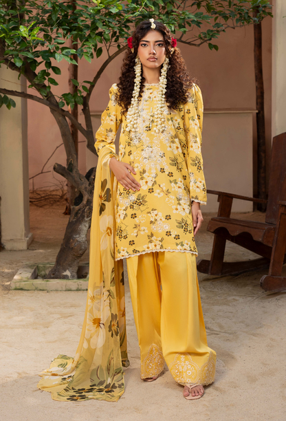 Humdum | Zaiba 25 | D03 - Ladies Clothes - Maria Faisal
