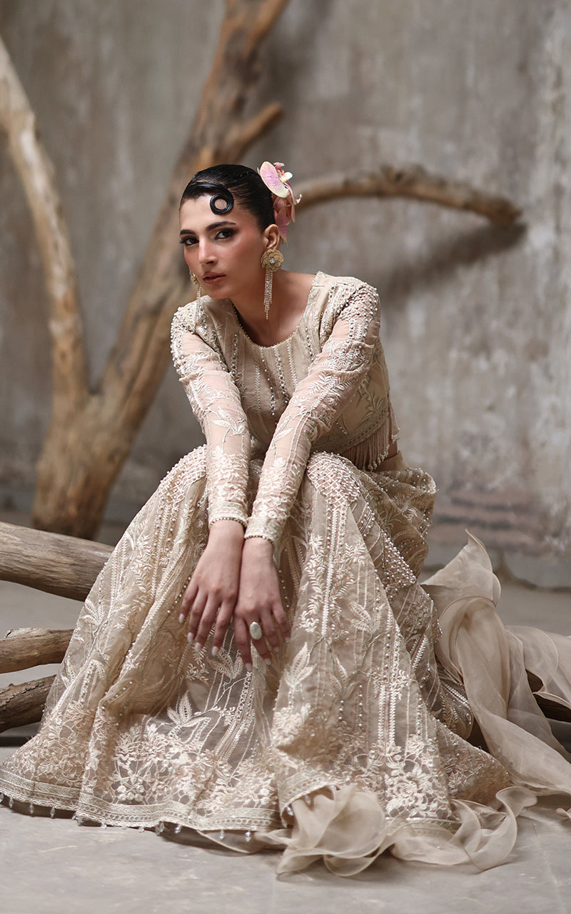 Threads and Motifs | Formal Dresses 25 | Organza Embroidered Blouse And Lehenga